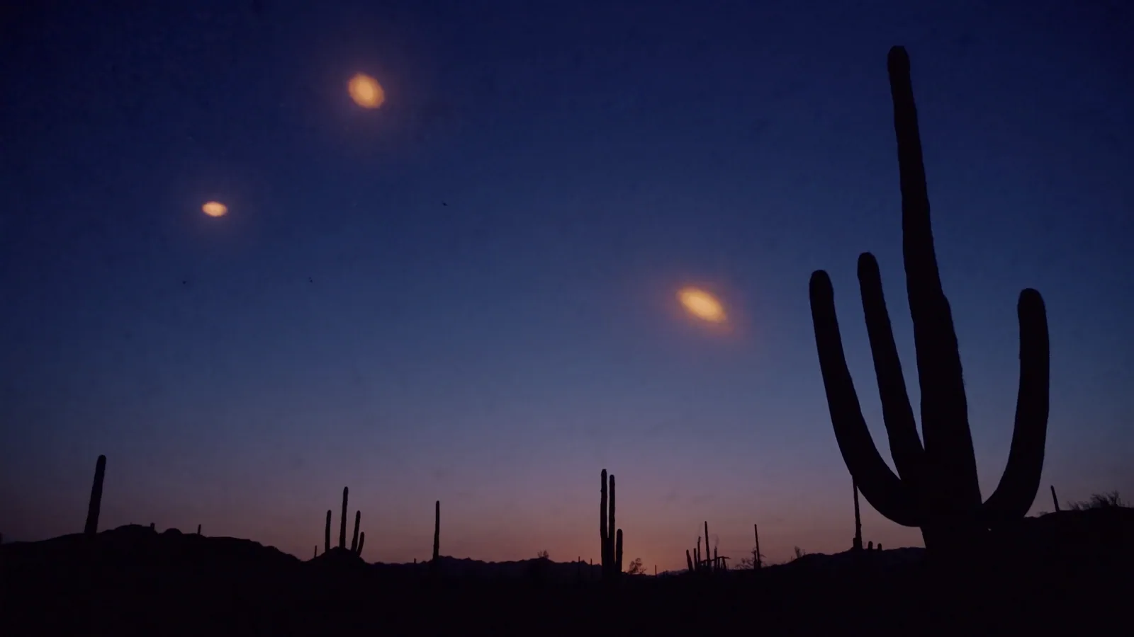 Saguaro cactus silhouettes against a dusty-rose Sonoran twilight sky, three amber orbs hovering in loose formation low on the horizon.